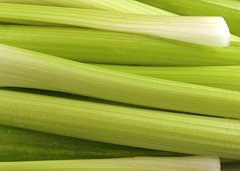 calories-in-celery-s.jpg