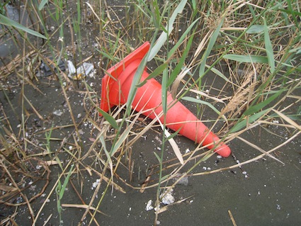 2014年11月1日（土）干潟清掃で「渡り鳥サポーターになろう！」⑩