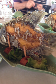 ベトナム　魚