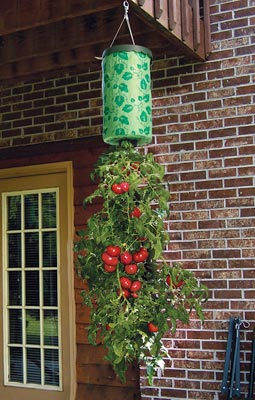 upside-down-tomato-planter.jpg