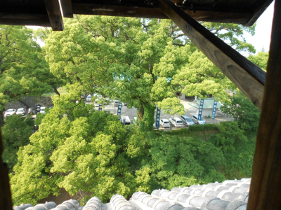 宇土櫓のニ階の窓・北に加藤神社が見えました