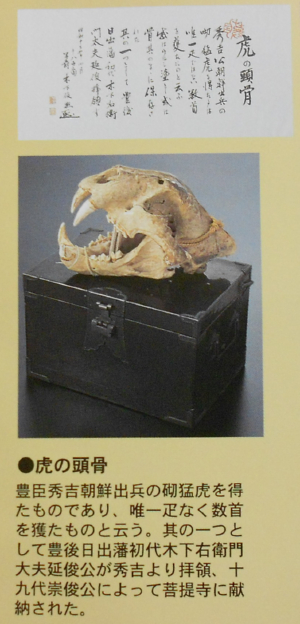 松屋寺には、清正公が朝鮮で退治した虎の骸骨が！