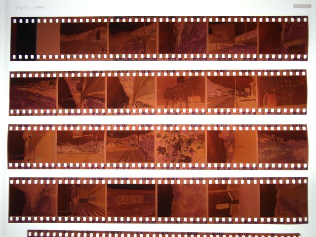 43exp. |期限切れフィルムはどう使うと良いか(2)