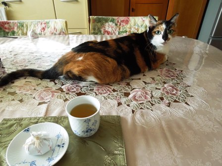 お茶飲みに参加する猫2♪