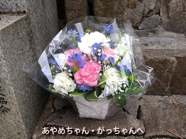 flower2013627.jpg