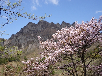 妙義山（桜）