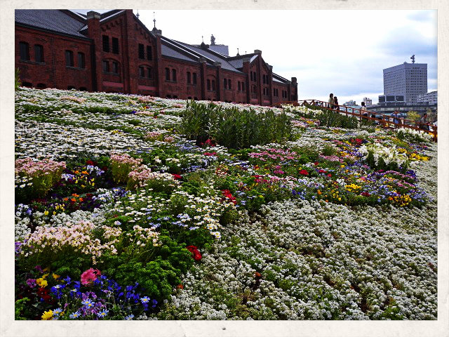 flowergarden2013_7.jpg