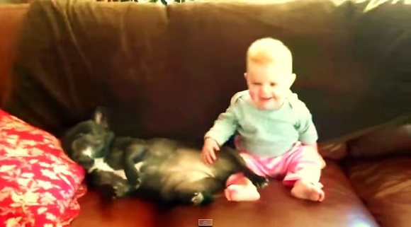 犬がいびきをかくたびに爆笑する赤ちゃん 動画 面白いもの集めました